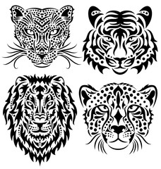 Set of wild big cats isolated on white. Pattern of a lion, a tiger, a leopard and a cheetah. 