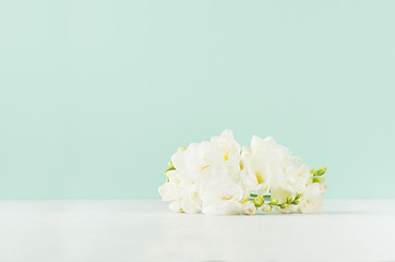 Beautiful fresh spring white flowers freesia lie on white wood board in green mint menthe interior as fresh season background.