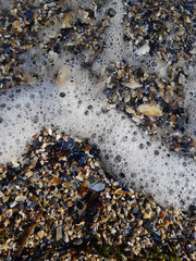 background texture With fine gravel on the sea coast