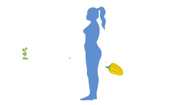 video animation of a girl on a diet, changing the shape, reducing excess weight, healthy lifestyle changing the body