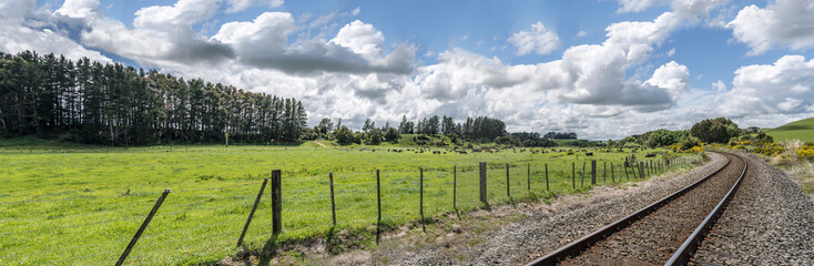 railway track and cow herd in green meadows, near Dannevirke, East Coast, New Zealand