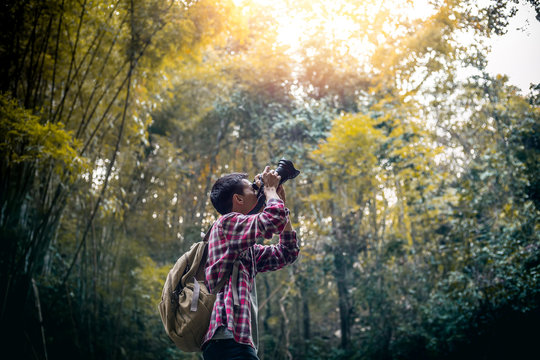 Tourists man or photographer hand holding dslr camera watching taking capture photo nature tree on outdoor in beautiful forest