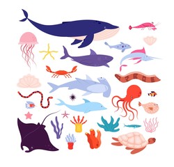 Underwater fish and animals. Cute sea animal, dolphin and jellyfish, octopus and starfish. Cartoon marine life isolated vector characters. Dolphin , starfish and octopus, turtle and ramp illustration