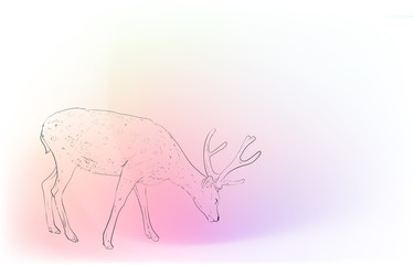 写実的な動物イラスト：玉虫色の背景：牡鹿の横からの姿