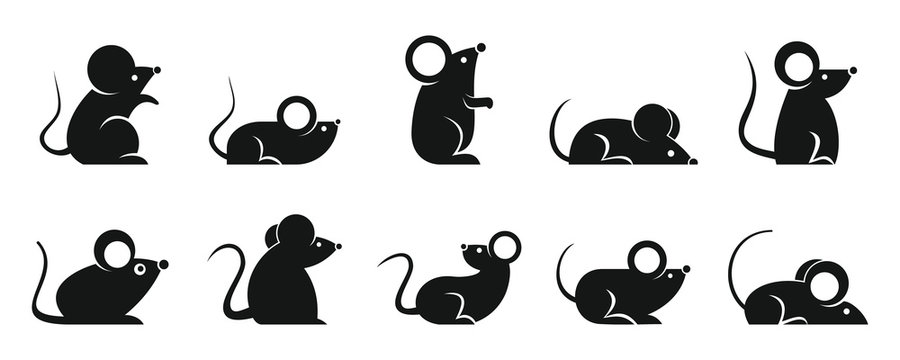 Rat icons set. Simple set of rat vector icons for web design on white background