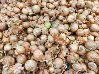 Sale of onions in large quantities in the supermarket.Edible and useful food.