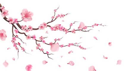 Deurstickers Sakura bloesem tak. Vallende bloemblaadjes, bloemen. Geïsoleerde vliegende realistische Japanse roze kersen of abrikozen bloemen elementen vallen vector achtergrond. Kersenbloesemtak, bloemblaadje illustratie © MicroOne