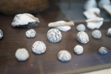 Collection of petrified sea urchins flints displayed in shop window at baltic sea 