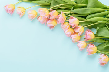 flower arrangement of pink tulips in the corner on blue background