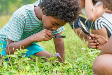 African American boy with friends in the grass exploring and looking nature with the magnifying...