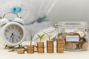 Coin sapling and alarm clock in the piggy bank