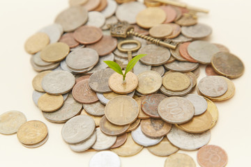 Coin sapling and alarm clock in the piggy bank