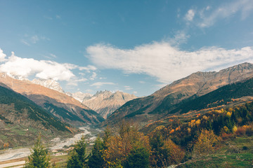 Colorful tree and forest nature hiking trail without any person.
