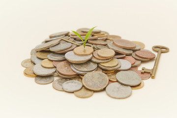 Coin sapling and alarm clock in the piggy bank