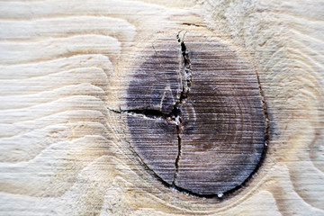 a knot in the wood of a light wood background