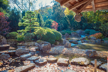 Japanese garden