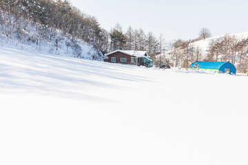 Winter snowfall landscape in Daegwallyeong area, Gangwon-do