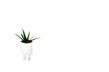 3d render of ceramic flower pot