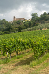 Fototapeta na wymiar Rural landscape near Montefiore dell Aso, Marches, Italy