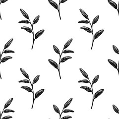Collection of highly detailed hand drawn graphic black leaves and herbs isolated on white background seamless pattern