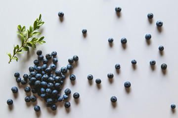 Group of fresh blueberries isolated on white background. Healthy food, health