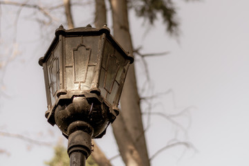 Old dirty lantern on a background of a bare tree trunk