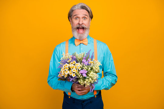 Surprise. Photo of handsome trendy white haired grandpa open mouth hold fresh bunch wildflowers girlfriend wife date wear blue shirt suspenders bow tie isolated yellow color background