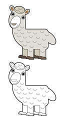 cartoon sketchbook scene with american animal alpaca on white background illustration