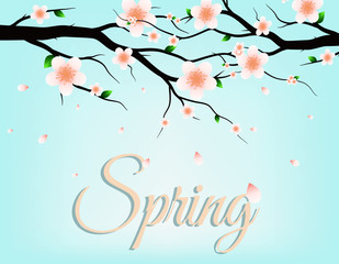 Spring is coming vector banner greetings design with colorful flower is blooming for spring season. Vector illustration.Can be used for your work.