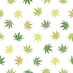 Seamless pattern of cannabis on white background