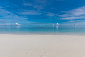 Fototapeta na wymiar Tropical beach view. Calm and relaxing empty beach scene, blue sky and white sand. Tranquil nature concept