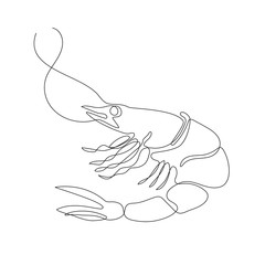 Shrimp drawn in one line. Continuous line. Seafood.