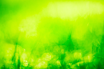 Abstract blurred image of green grass in the sunlight. Summer texture background. Warm colors. Copy space