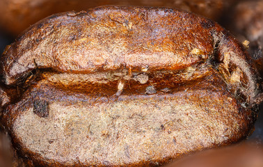 Close up of a coffee bean. Macro panorama photography of coffee beans in high resolution. Detailed ultra macro on a roasted coffee bean.  Microscopic photography. Useful as a banner in a coffee shop