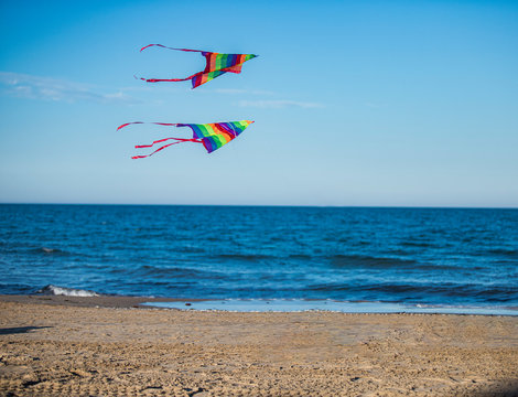 Cometas volando en la playa