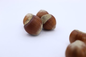 nuts hazelnuts background picture texture