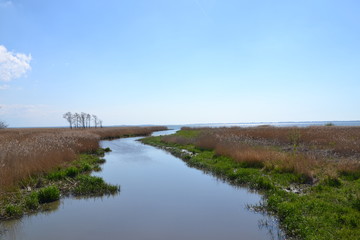 baltic coast