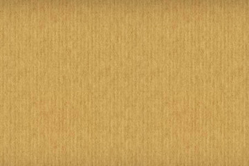 Brown paper texture background with copy space for your text or image	