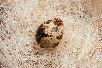 Quail egg in decorative straw nest