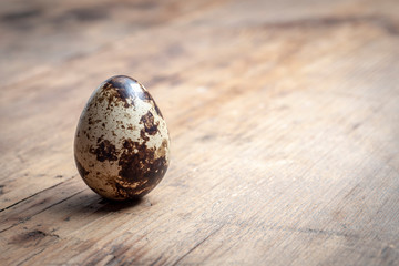 Quail egg on wooden table