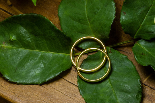 detalhe de alian&ccedil;as de casamento