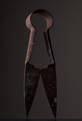 rusty old shears against dark grey background