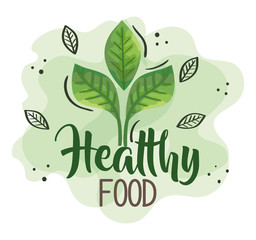 healthy food poster with leafs nature vector illustration design