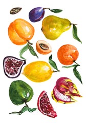 Exotic fruits hand drawn watercolor illustrations set