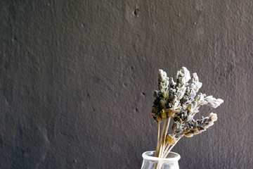 dried lavender on a gray rustic background