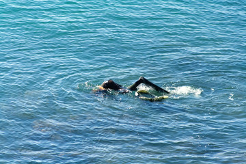 Obraz premium A man collects oysters at the bottom of the sea in a rubber suit with a mask and a special net for folding.