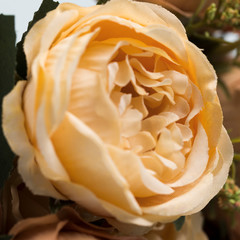 Close-up blooming roses bouquet