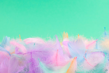 Colorful feather background, top view.