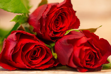 red roses close up on a wooden surface