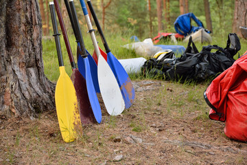 colorful paddles and kayaks on the beach © Olga